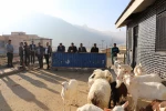 بازدید ریاست سازمان جهاد کشاورزی استان و معاون بهبود تولیدات دامی سازمان, ریاست کمیته امداد استان, معاون سازمان امور عشایری استان و ریاست دانشگاه ملی مهارت استان چهار محال و بختیاری از مرکز کشاورزی شهرکرد 10