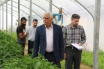 بازدید ریاست محترم دانشگاه ملی مهارت استان از گلخانه آموزشکده کشاورزی