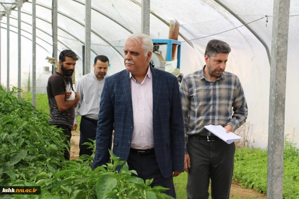 بازدی ریاست محترم دانشگاه ملی مهارت استان از گلخانه