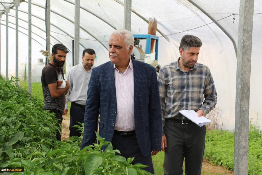 بازدید ریاست محترم دانشگاه ملی مهارت استان از گلخانه آموزشکده کشاورزی